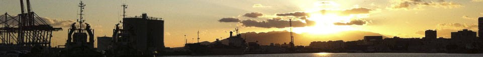 SHIPPING CASUALTIES