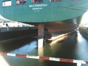 msc-shenzhen1 msc-shenzhen1